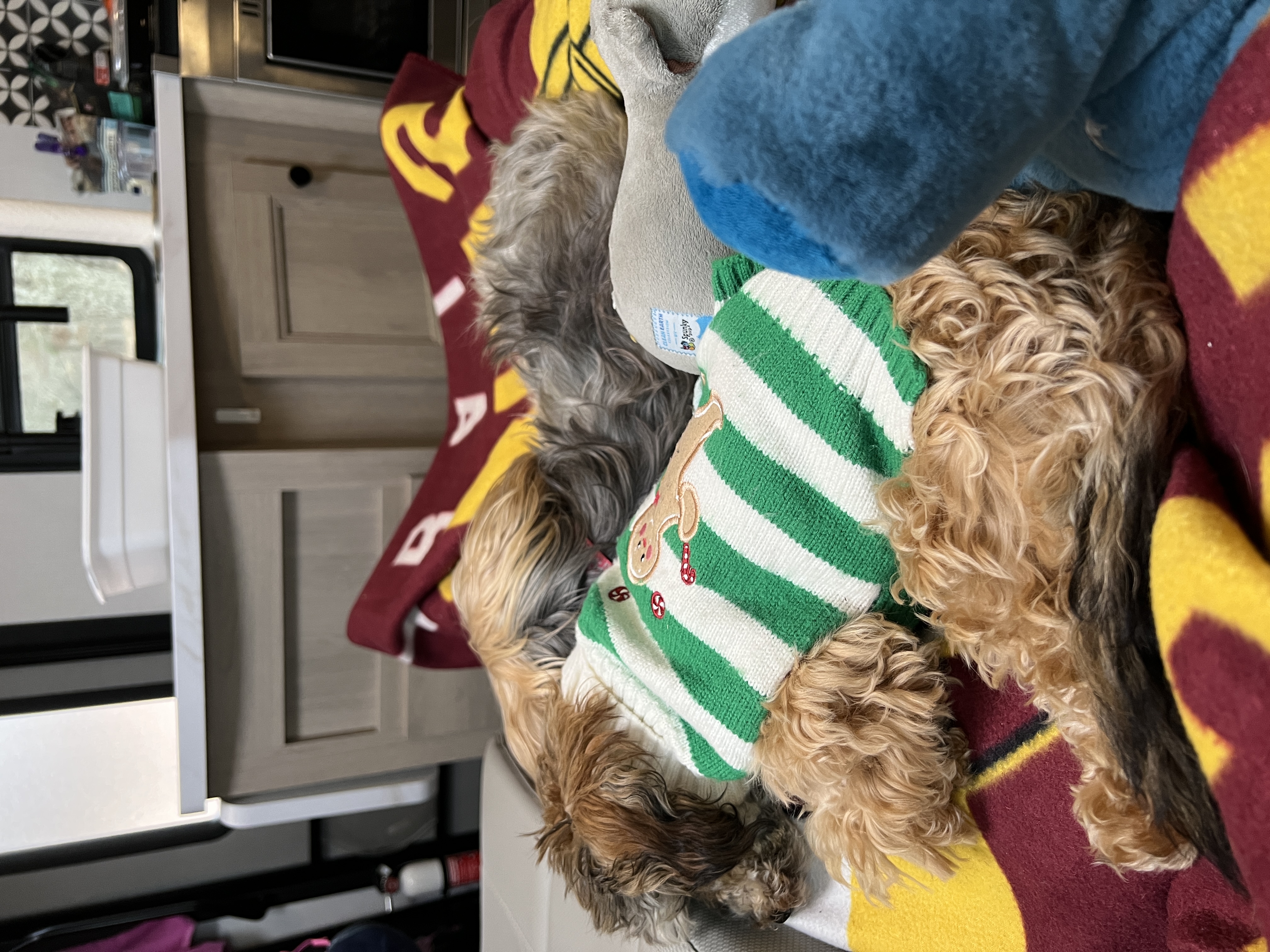 ./2026/01 - Nutbush Bridge/IMG_8016.JPG